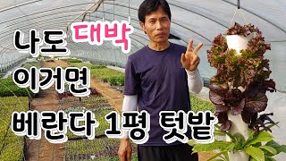 파이프 배관 이용 베란다 텃밭  이건 진짜 대박  좁은 공간 1평텃밭 주인a veranda garden fo…