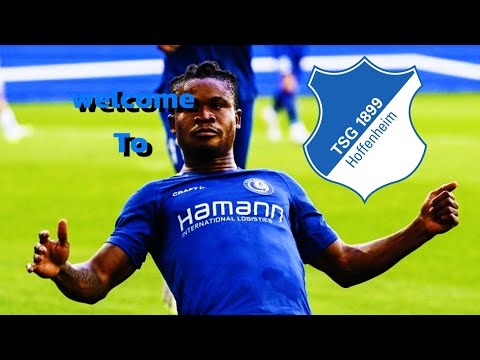 Welcome Gift Orban to Hoffenheim