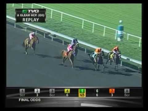 2013 A Gleam Handicap - Book Review