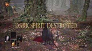 Dark Souls 3 Co-op and PvP