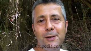 Aphrodite the Nephilim - The Gorilla199 Channel