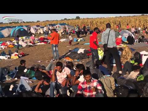 A glimpse into the "catching point" for refugees in Röszke, Hungary