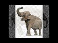 Baby Elephant Walk / Java - Al Caiola & Billy May