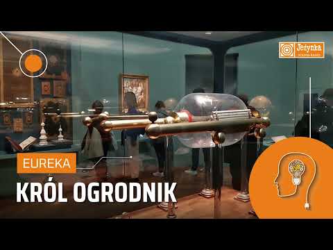 Król Ludwik XV i jego zainteresowania. Nauka, botanika i sztuka | EUREKA