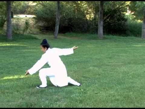Wudang Five Animal Qi Gong (Complete) 武當五行氣功