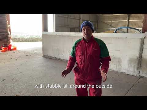 Maximising the Potential of Fodder Beet: 3 Field Layout