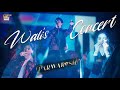 Wali Ka Concert ️ Parwarish Samar Jafri ARY Digital Drama