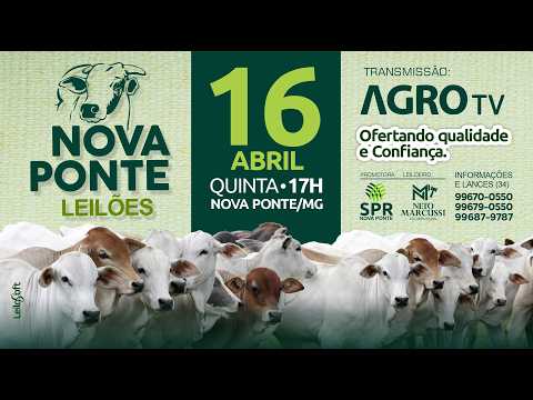 NOVA PONTE LEILÕES - 16/04/2026