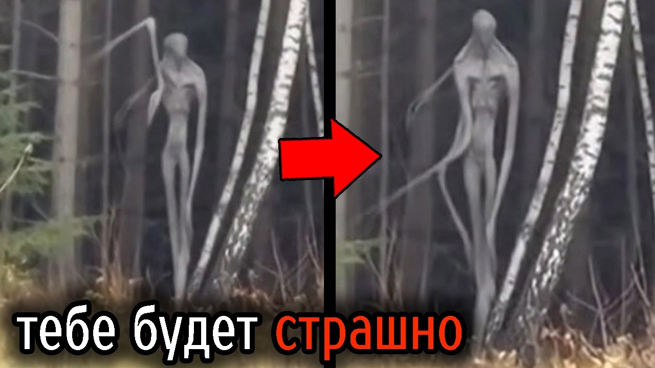 Самые Ужасные Видео со Всего Мира #114