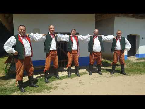 FS Bystřina Zliv - Strážnice 2019