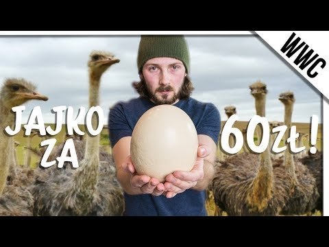 Trochę porno cipki z big dick Niech mówią o wzroście członka