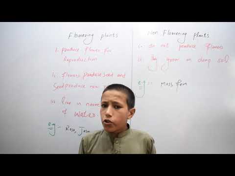 YouTube video about: Which of the following is true concerning flowering plants?