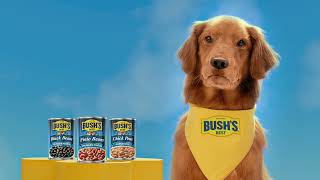 BUSH'S Beans Duke the Star Quality