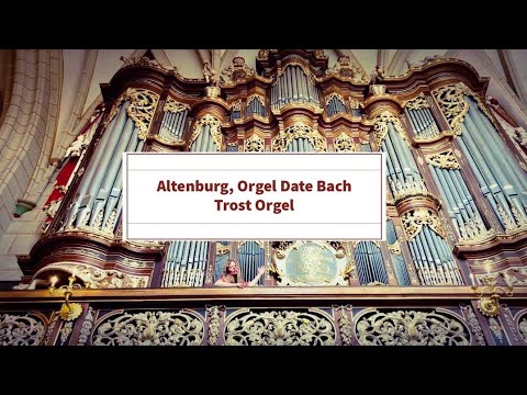 Trost Organ Schlosskirche Altenburg Bach-Orgel, Orgel Vlog Vorstellung Erklär-Videos #vlog