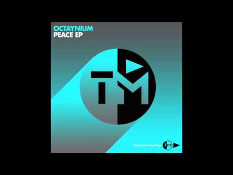 Miami Fetish Resort - Hold Us Down (Skinner & Bracks Remix)