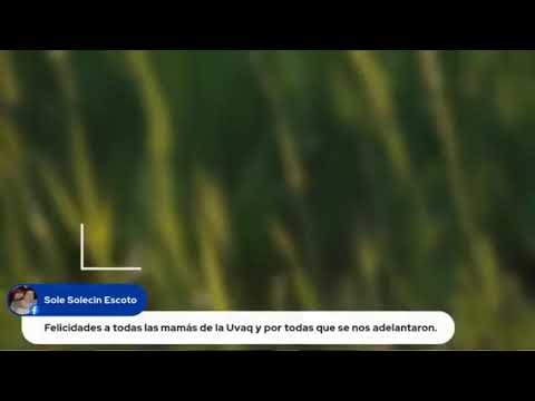 Mujer Divina - Agustín Lara