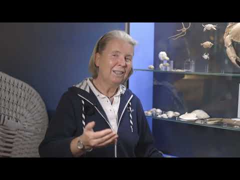 Fossile Muscheln am Nordseestrand, eine Vorstellung von Dr. Annette Richter im Landesmuseum Hannover