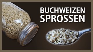 Buchweizen keimen lassen – Buchweizensprossen ziehen | Buchweizenkeimlinge – gekeimter Buchweizen