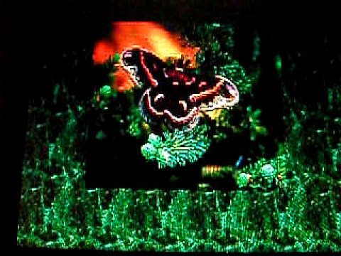 J.J.Cale - Cajun Moon