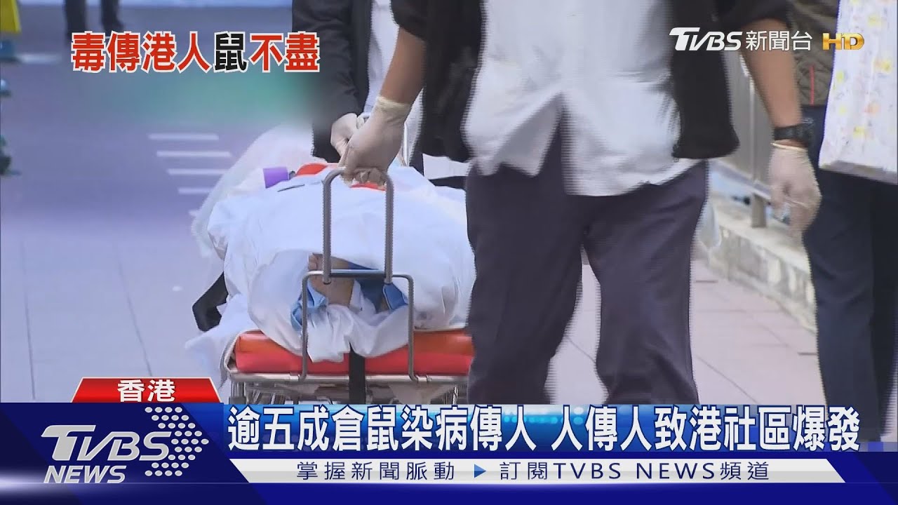 逾五成倉鼠染病傳人 人傳人致港社區爆發