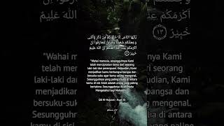 Download lagu QS Al-Hujurat - Ayat 13. #surahalhujurat #surah #ayatalquran #islam #islamic #pedomanhidup #shorts mp3