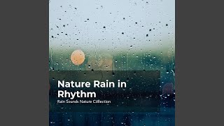 Nature Rain Harmony
