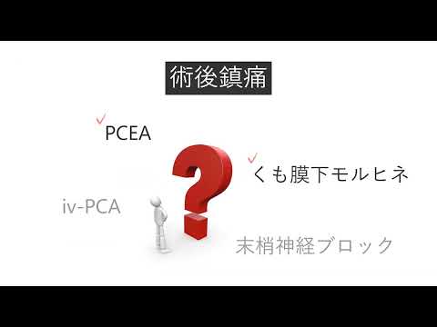 医学科 ⑨帝王切開の術後鎮痛を深堀りしてみよう！_細川幸希_第10回産科麻酔に参加しよう