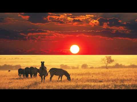 Culoe De Song Feat Black Motion - Beat Of Africa