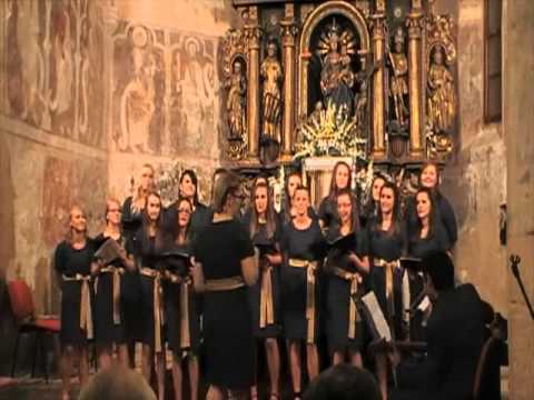 Zbor mladih župe Lobor - 7 divnih godina