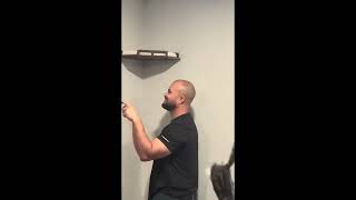 Funny Cat Videos