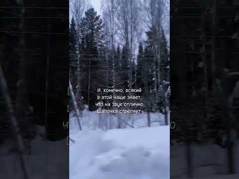 Полная версия «Красной Шапочки» на новый лад по вашим просьбам, друзья! Подпишись,на канале душевно!