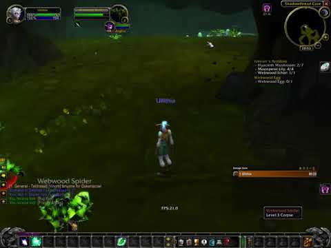 The TRUE Classic WoW Experience