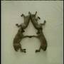 Sesame Street Weimaraners Make The Letter A