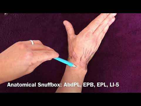 Locating acupuncture points on the wrist part 2: tendons
