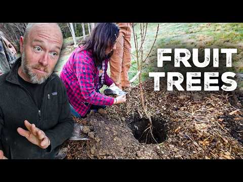 Optimal Timing: Fruit Tree Planting for Permaculture Success