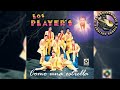 Los Player's de Tuzantla - Ingrata y Traicionera
