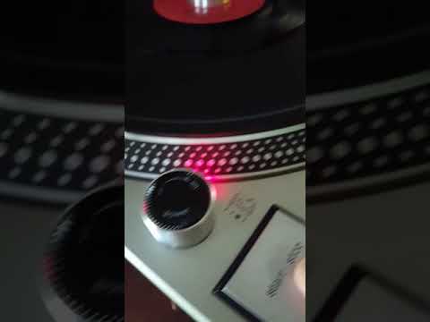 Surfin Bird by The Trashmen