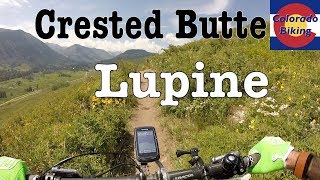 Review and trail experience of the Lupine Trail