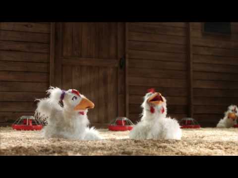 Publicité Le Poulet du Québec