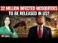 MOSQUITO APOCALYPSE? Google Plans To Release 32 MILLION Genetically Modified Mosquitoes In The US!
