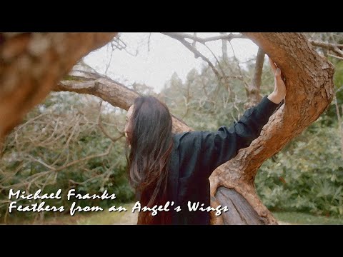 Videoclip de Feathers From An Angel's Wings — Michael Franks