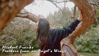 Michael Franks - Feathers from an Angel's Wings (song video)