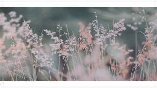 FIRST LOVE BY SUNNYSIDE