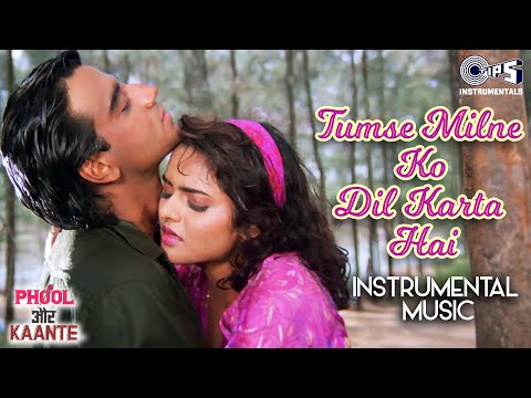 Tumse Milne Ko Dil Karta Hai Instrumental | Phool Aut Kaante | Ajay Devgn, Madhu|90s HitsHindi Songs