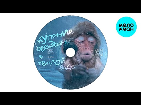 Песня купание обезьяны в теплой воде слушать. Песня купание обезьяны в теплой воде слушать. Смешные обезьянки купаются. Купание обезьяны в тёплой воде бэтмен. Песня купание обезьяны в теплой воде слушать.