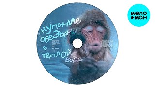 Купание обезьяны в тёплой воде - Иди сюда (Single 2023)