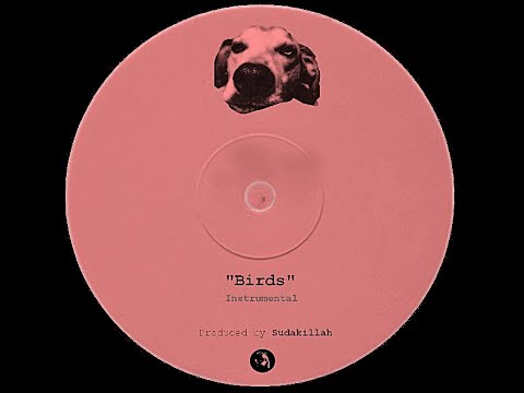 Sudakillah - Birds