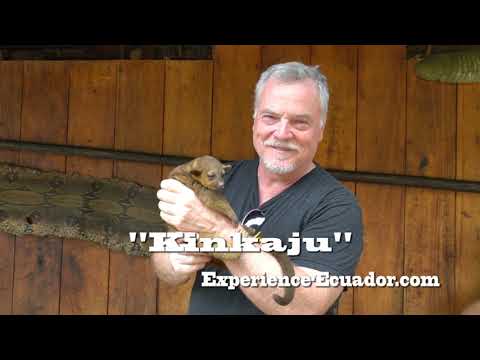 download lagu mp3 mp4 The Oriente, download lagu The Oriente gratis, unduh video klip The Oriente