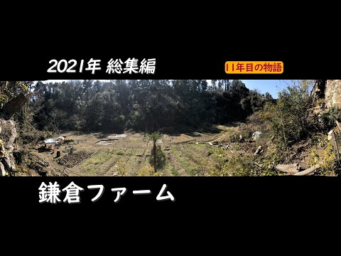 , title : '2021年総集編　鎌倉ファーム11年目の物語　　自然農を極め竹林開拓の一年'