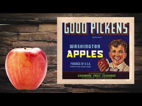 The History of Apples